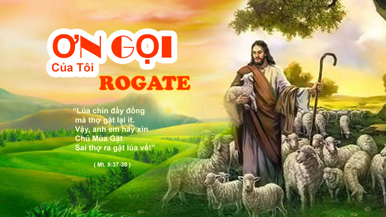 Rogate – ước vọng của chính Thiên Chúa